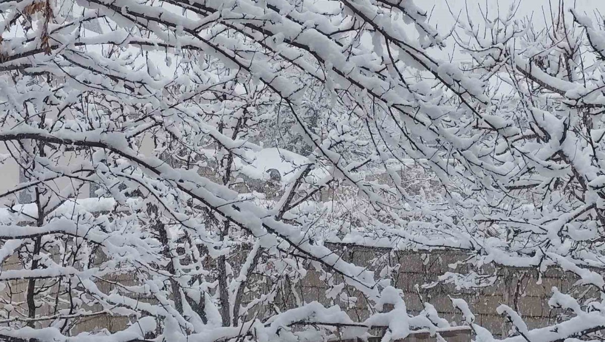Erciş'te mart ayında kar yağışı