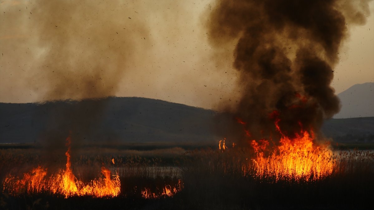Erciş'te sazlık alanda çıkan yangın kontrol altına alındı