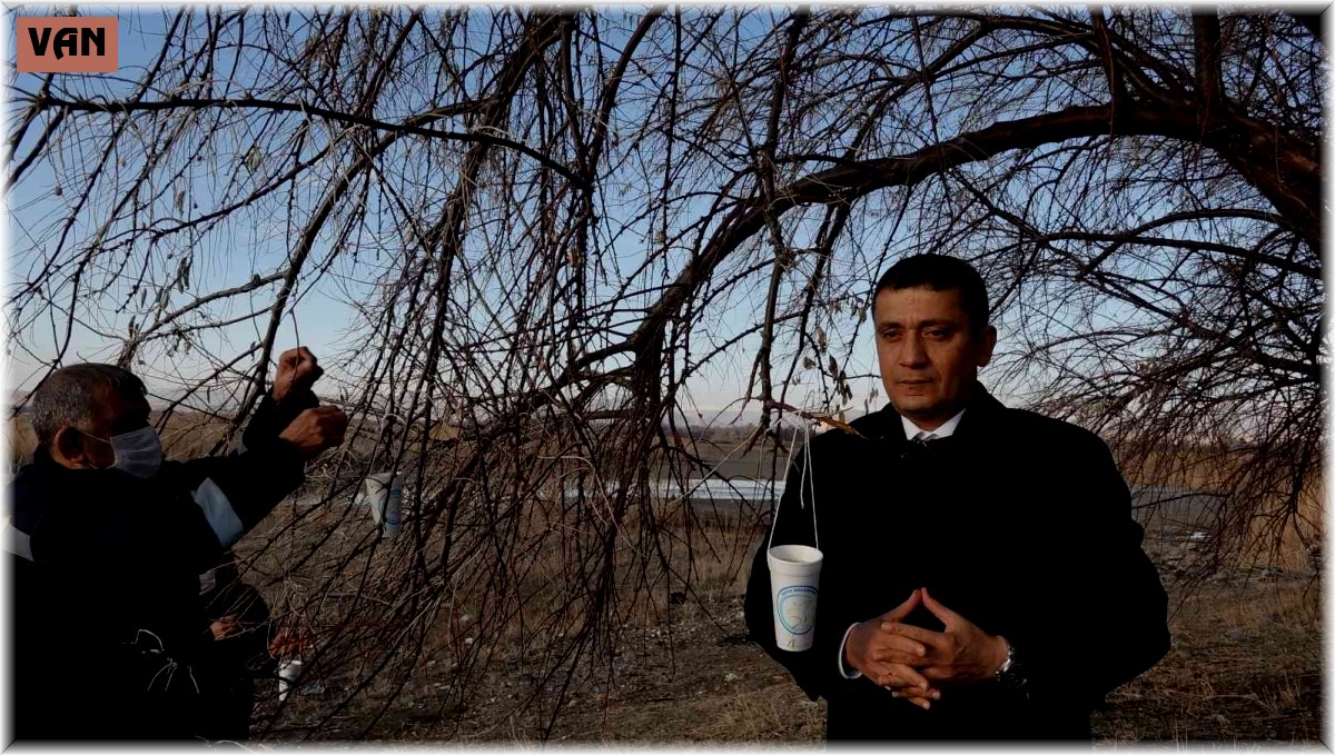 Erciş'te sokak ve yaban hayvanları için yem bırakıldı