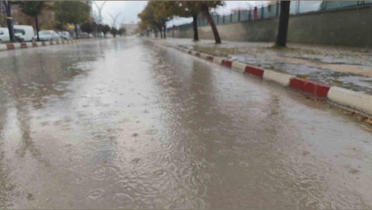 Erciş'te yağmur yağışı etkili oldu