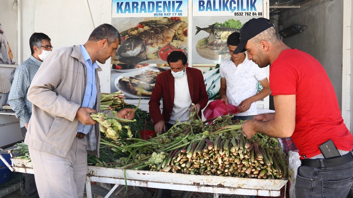 Erciş'te yaylalardan toplanan uçkun ilgi görüyor