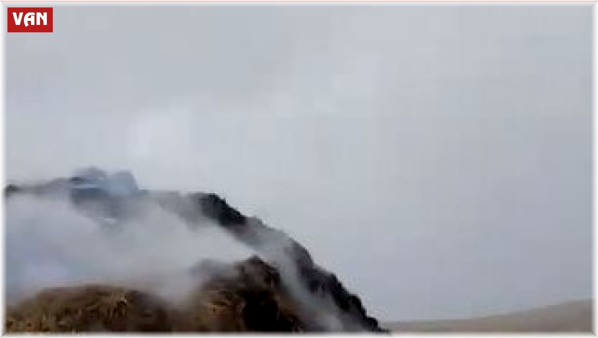 Erciş'te yıldırım düştü, 3 bin bağ ot yandı