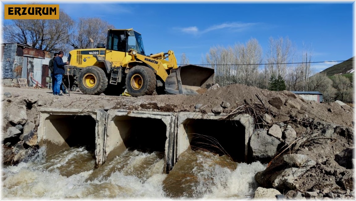 Eriyen kar suları köprüyü yıktı