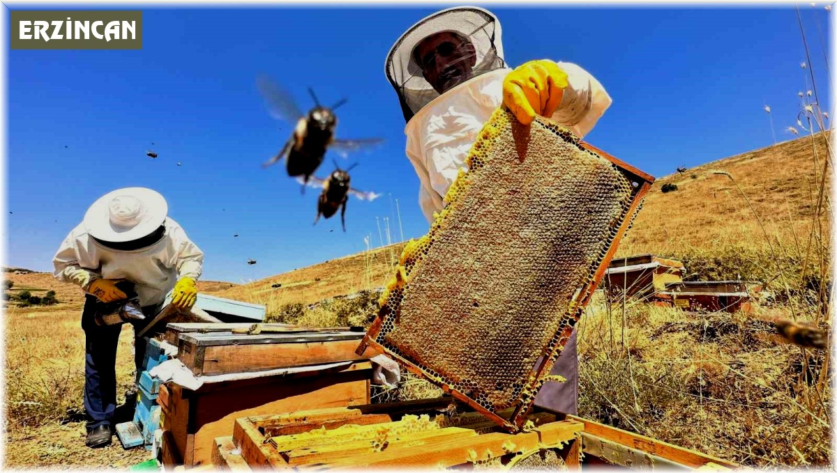 Erzincan 1. sınıf tarımsal örgüt seçildi