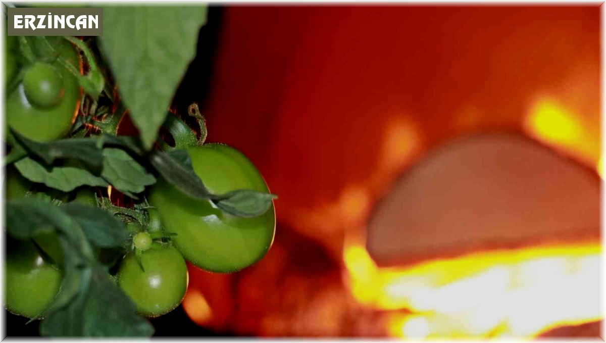 Erzincan, Bayburt, Erzurum ve Ardahan için zirai don uyarısı