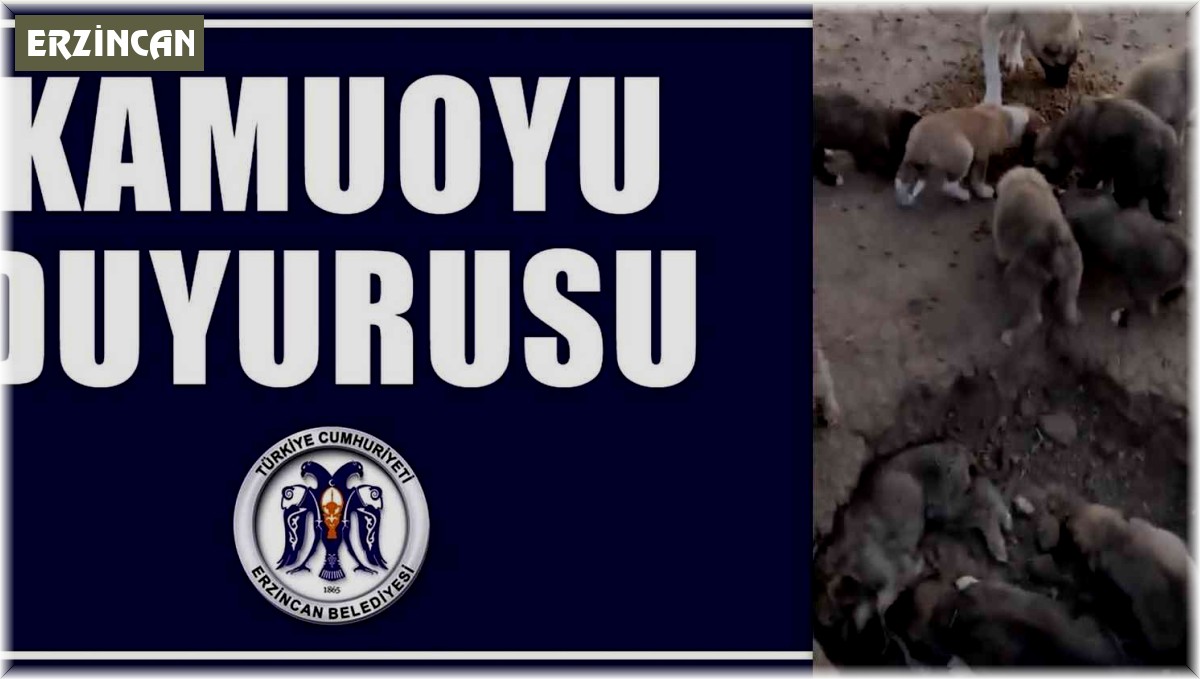 Erzincan Belediyesinden hayvan bakımeviyle ilgili iddialara yönelik 2 gün sonra açıklama yapıldı