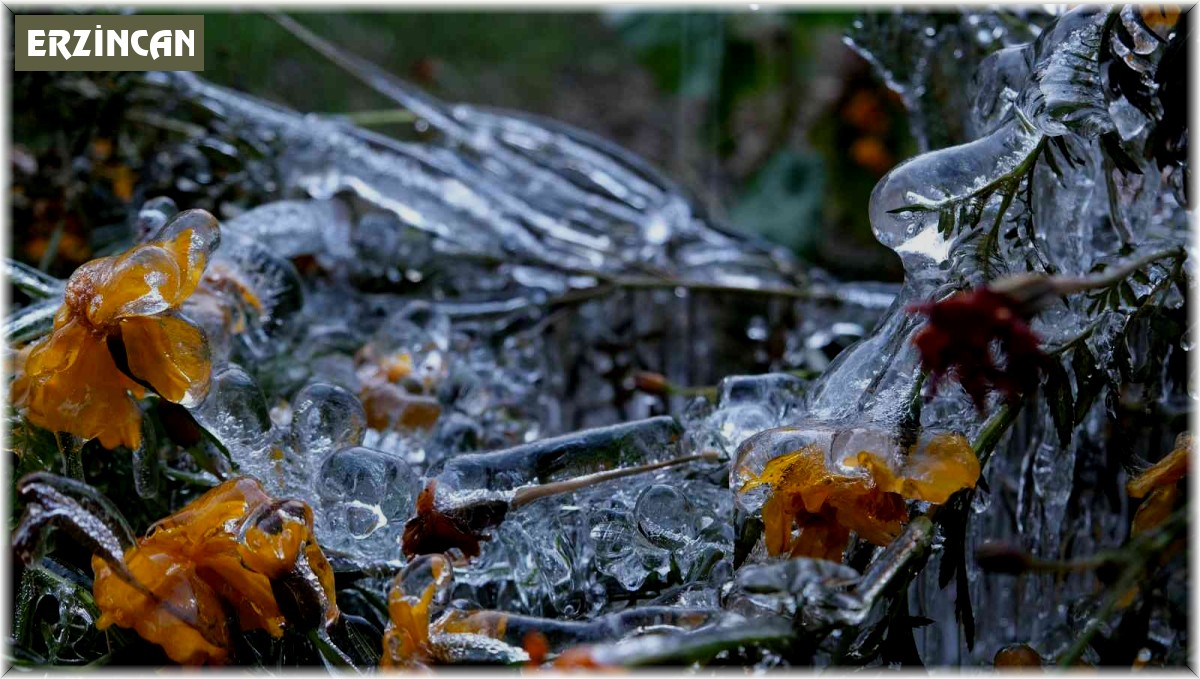 Erzincan buz kesti