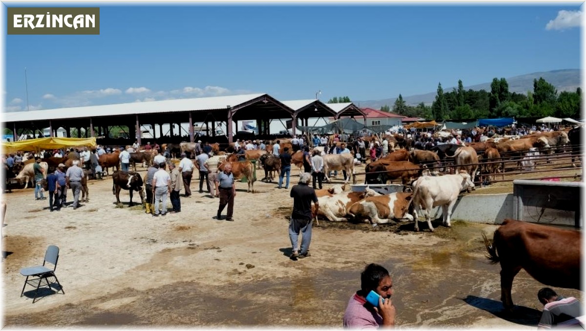 Erzincan canlı hayvan pazarı kapatıldı