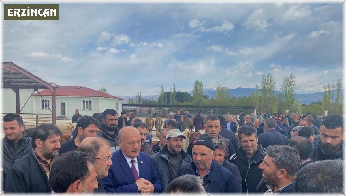 Erzincan canlı hayvan pazarı yeniden açıldı