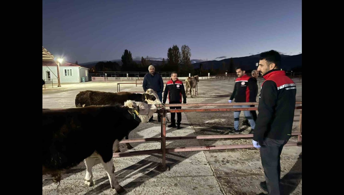 Erzincan canlı hayvan pazarı yeniden açıldı