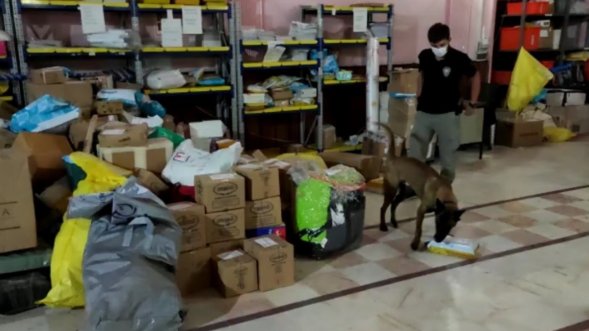 Erzincan'da 1 kilo 145 gram toz esrar ile çeşitli miktarlarda sentetik uyuşturucu ele geçirildi