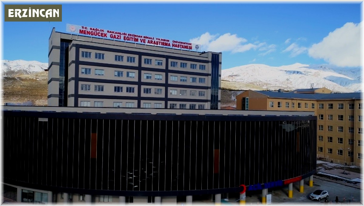 Erzincan'da 1 yılda 3 milyon 250 bin muayene hizmeti: Nüfusu 14'e katladı