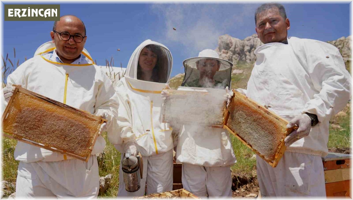 Erzincan'da 100 bin üzeri kolonide 1 milyon kilogram bal üretiliyor