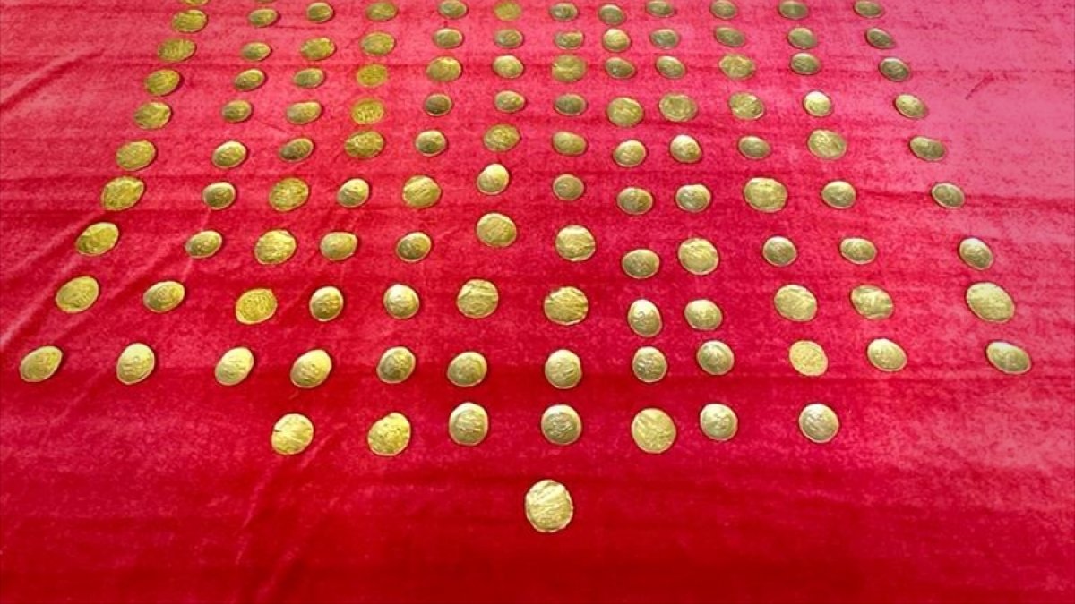 Erzincan'da 140 parça tarihi sikke ele geçirildi