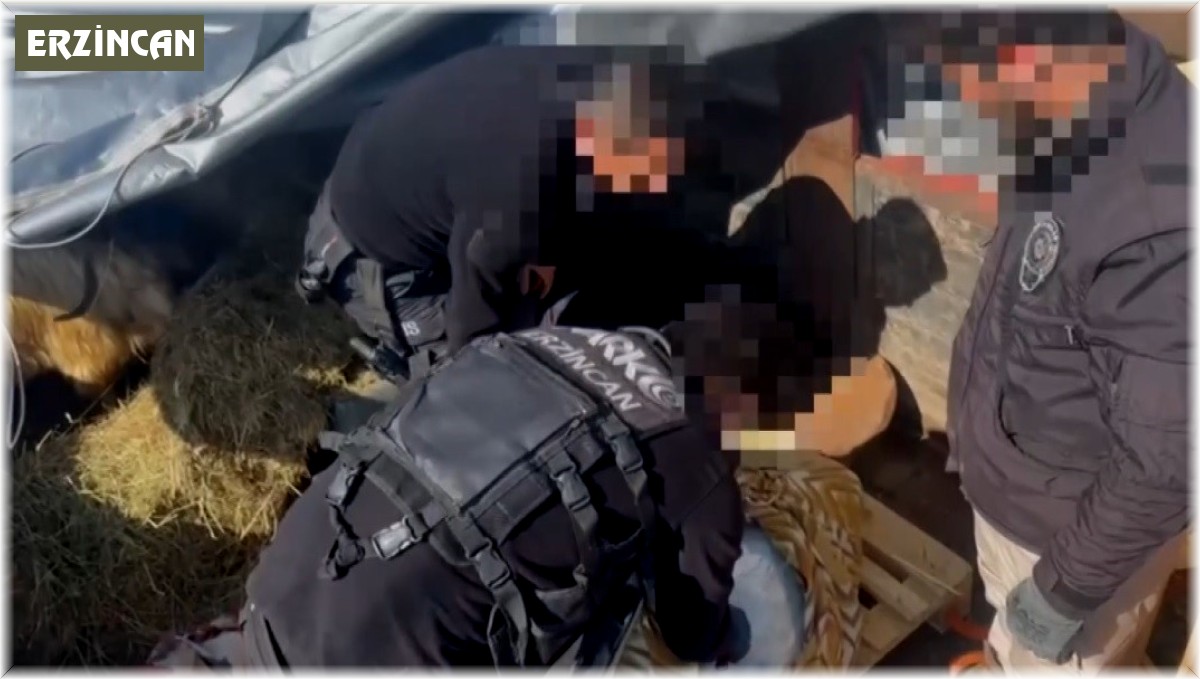 Erzincan'da 18 milyon TL değerinde olan 58 kilo 500 gram skunk ele geçirildi