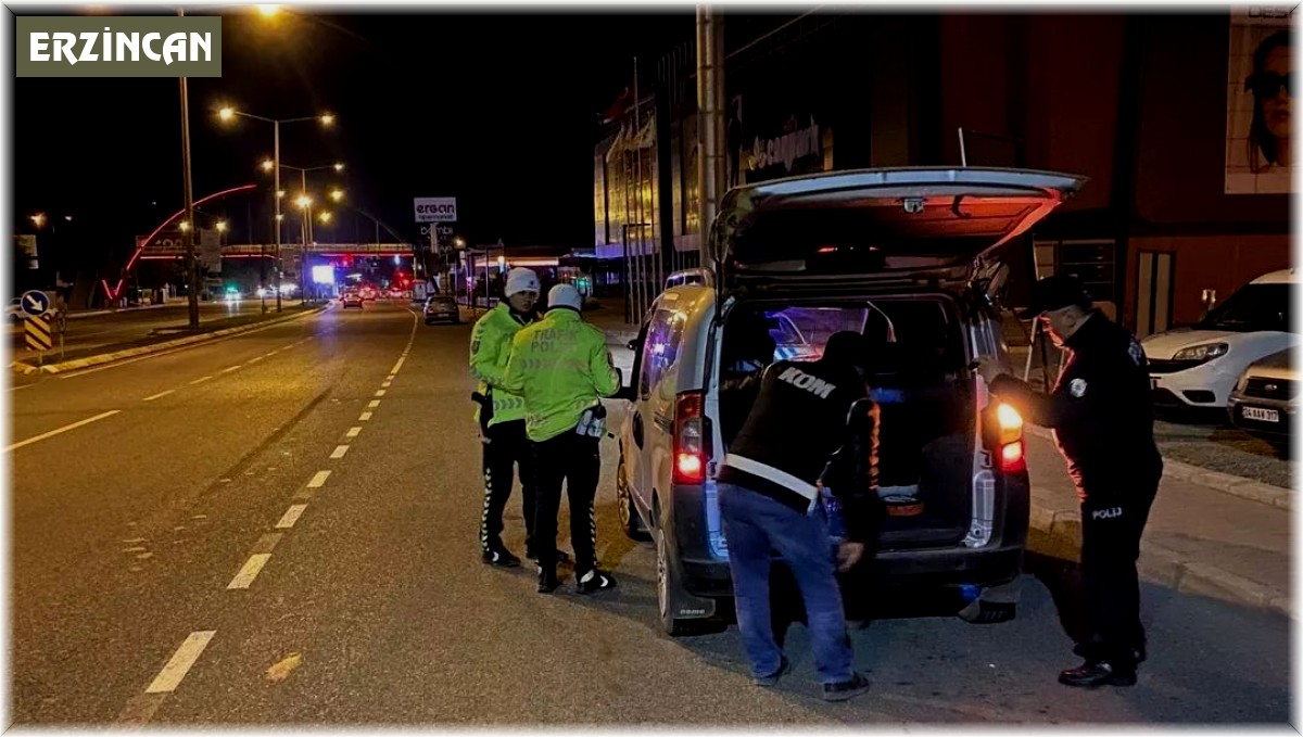 Erzincan'da 2 adet el bombası ele geçirildi