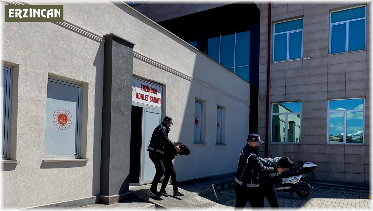 Erzincan'da 2 kaçak göçmen yakalandı, 2 kişi tutuklandı