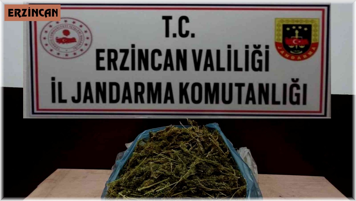 Erzincan'da 2 kilo 848 gram kubar esrar ele geçirildi