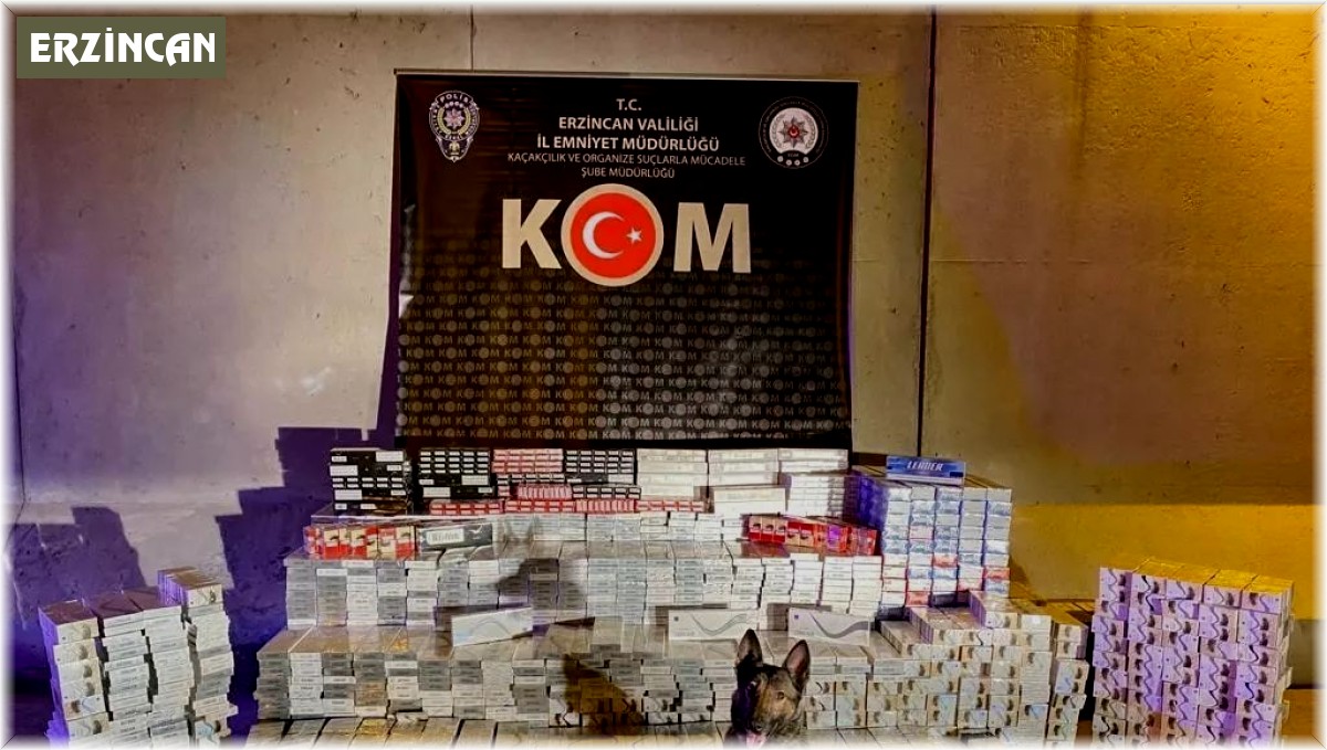 Erzincan'da 24 bin 240 adet kaçak sigara ele geçirildi