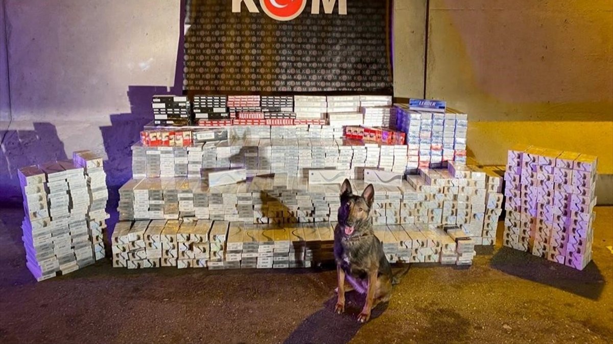 Erzincan'da 24 bin 240 paket gümrük kaçağı sigara ele geçirildi