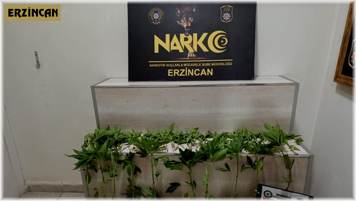 Erzincan'da 3 ayrı uyuşturucu operasyonunda 3 kişi tutuklandı