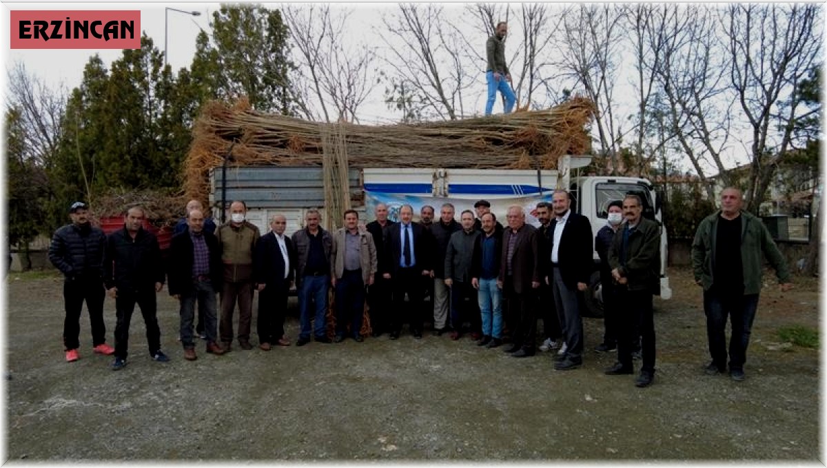 Erzincan'da 3 bin 500 adet dut fidanı dağıtıldı