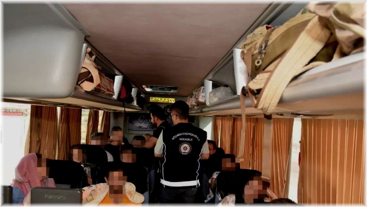 Erzincan'da 3 kaçak göçmen yakalandı