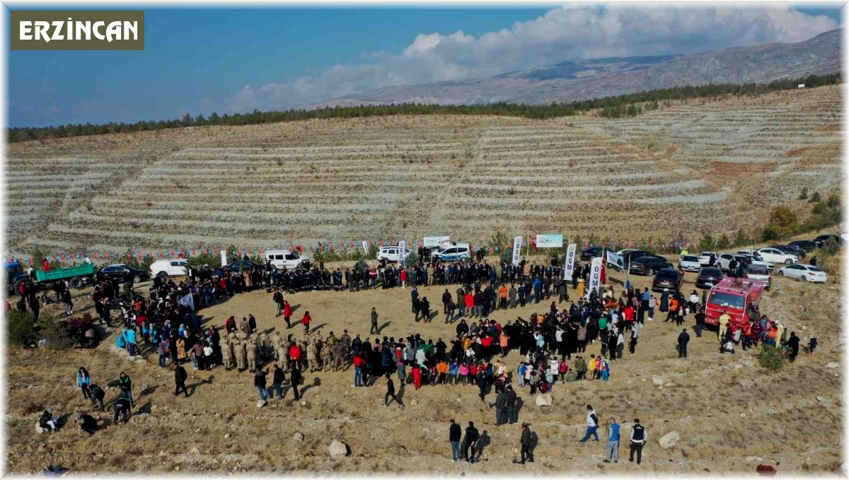 Erzincan'da 410 dönüm alanda 36 bin adet fidan toprakla buluşturuldu