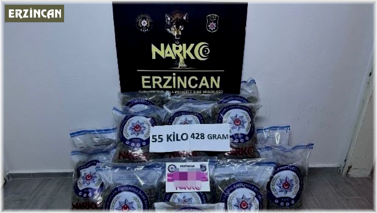 Erzincan'da 55 kilo uyuşturucu skunk ele geçirildi