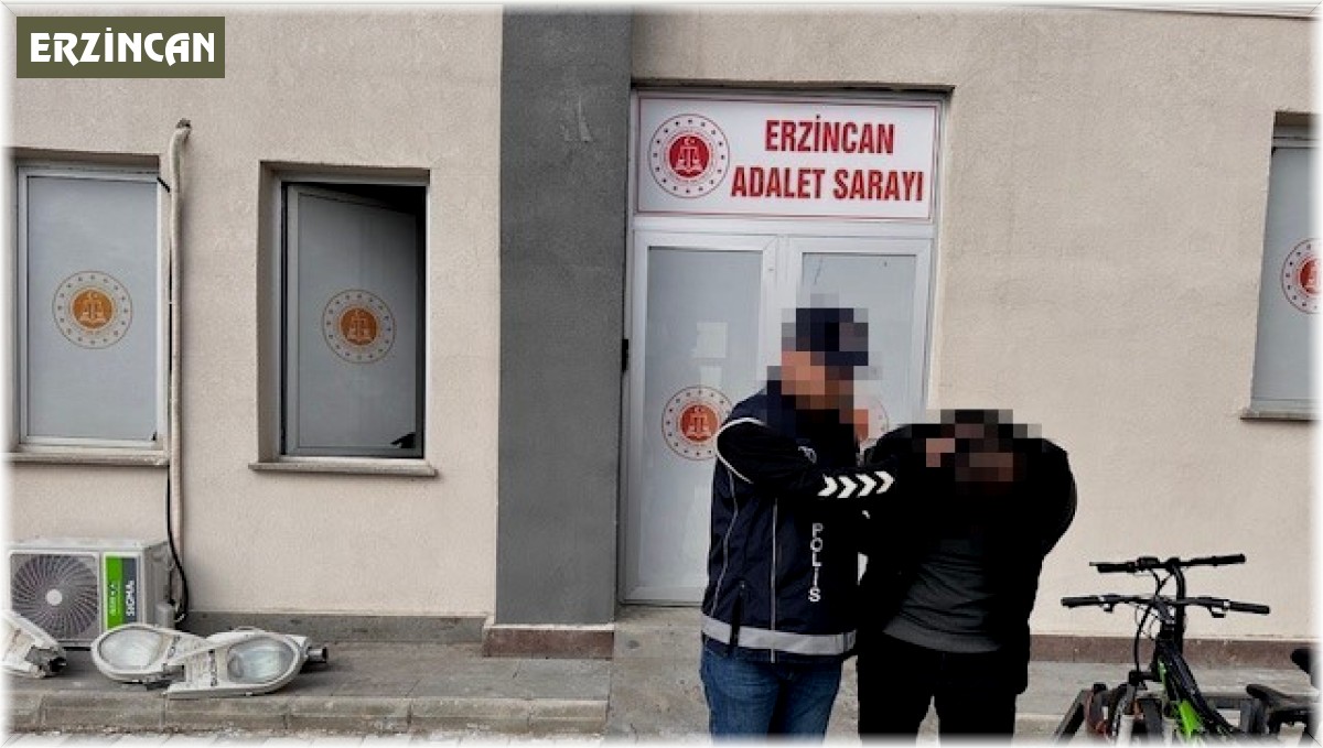 Erzincan'da 7 kaçak göçmen yakalandı, 1 organizatör tutuklandı