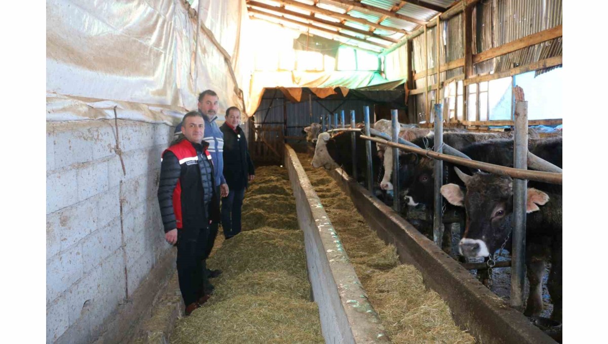 Erzincan'da aile hayvancılık işletmeleri ziyaret edildi