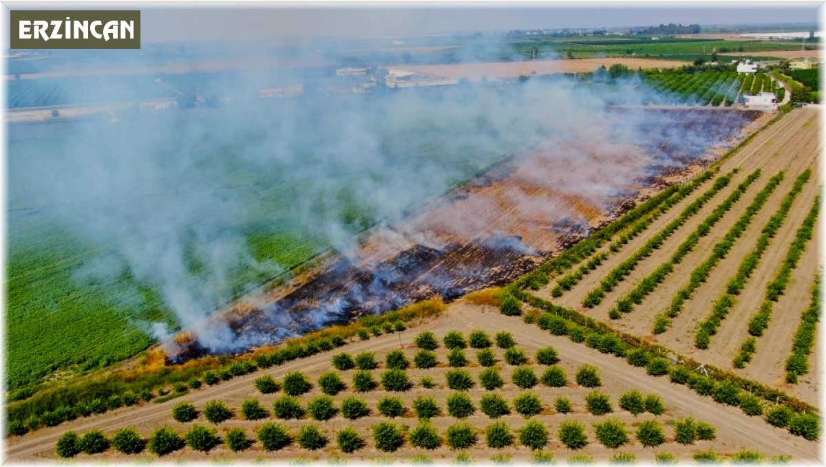 Erzincan'da anız yakmak yasak!