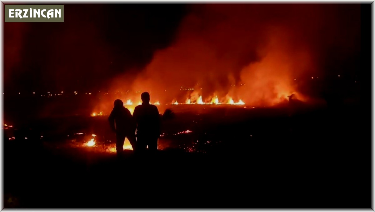 Erzincan'da anız yangını