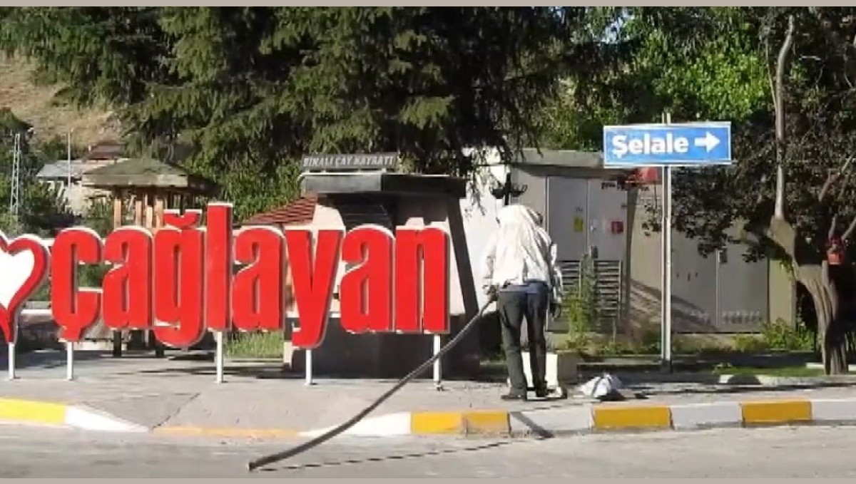 Erzincan'da arı paniği