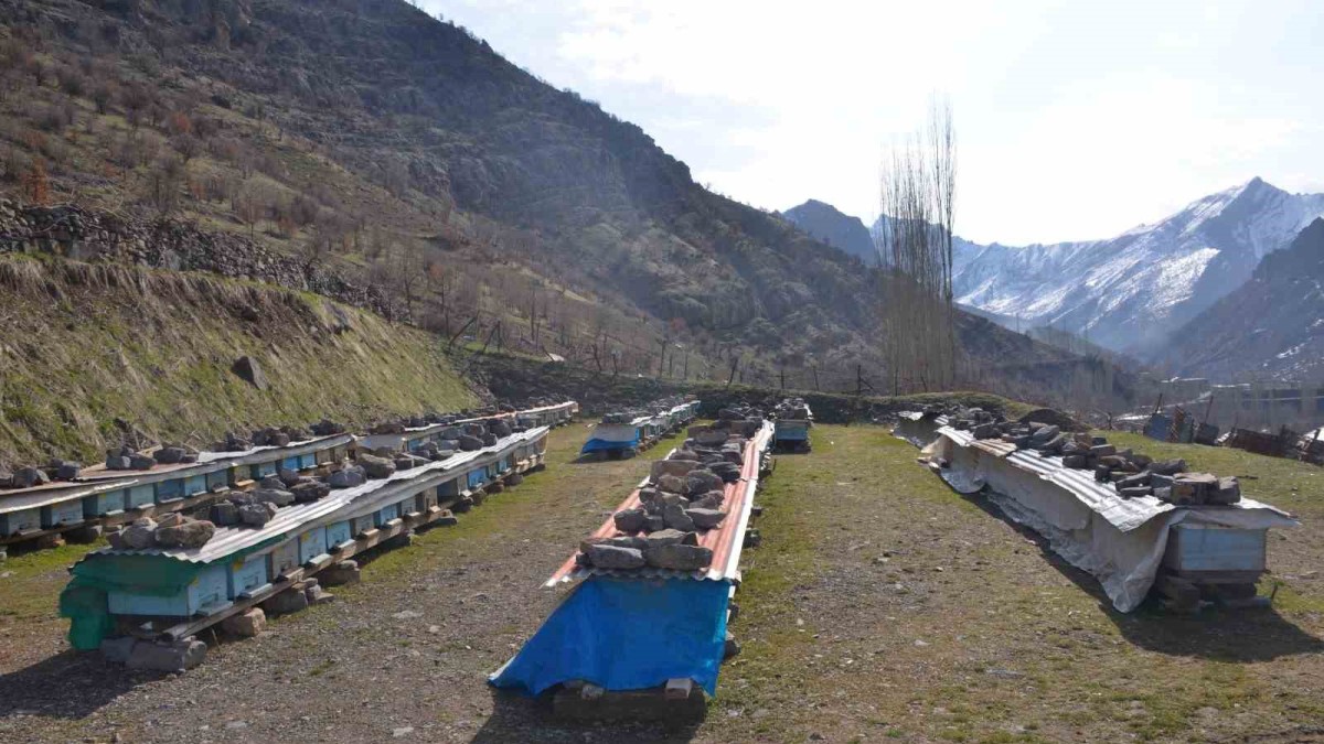 Erzincan'da arıların "tatlı uykusu" başladı
