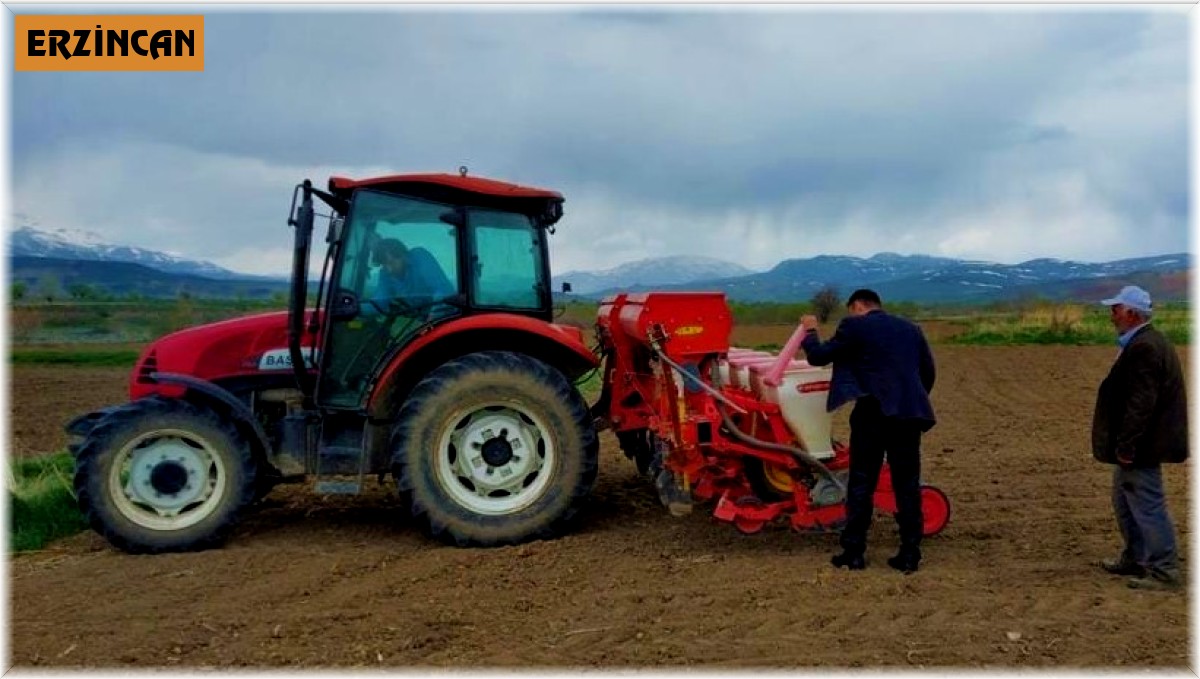 Erzincan'da ayçiçeği tohumları toprakla buluştu