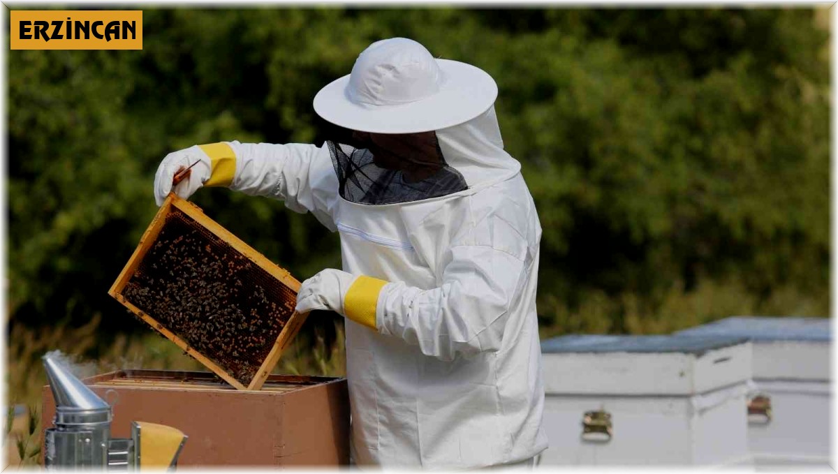 Erzincan'da bal üreticilerine 216 ton şeker dağıtıldı