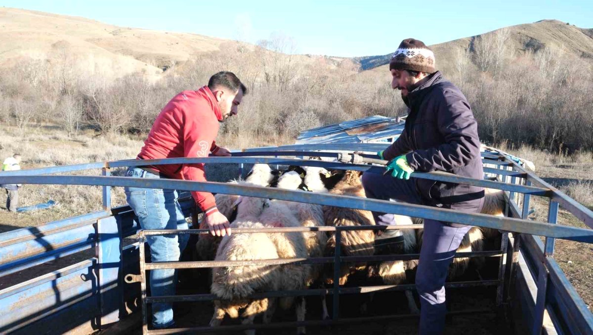 Erzincan'da besiciler 8 aylık göçe başladı