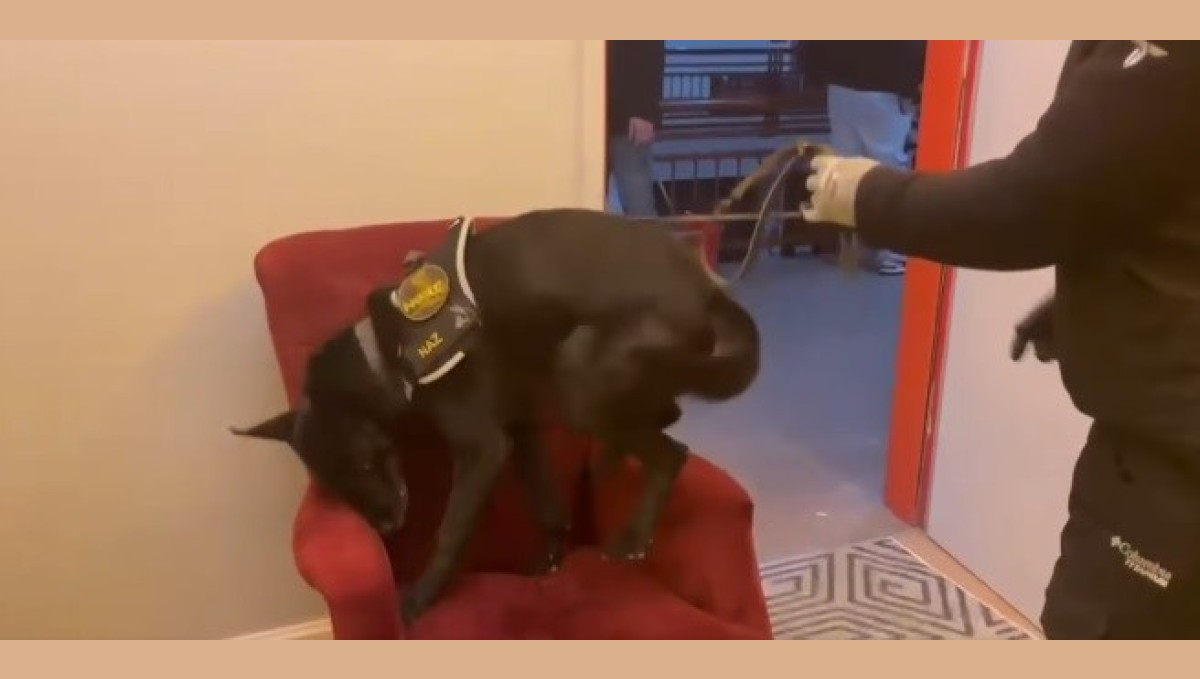 Erzincan'da bir miktar uyuşturucu madde ve 1 adet av tüfeği ele geçirildi