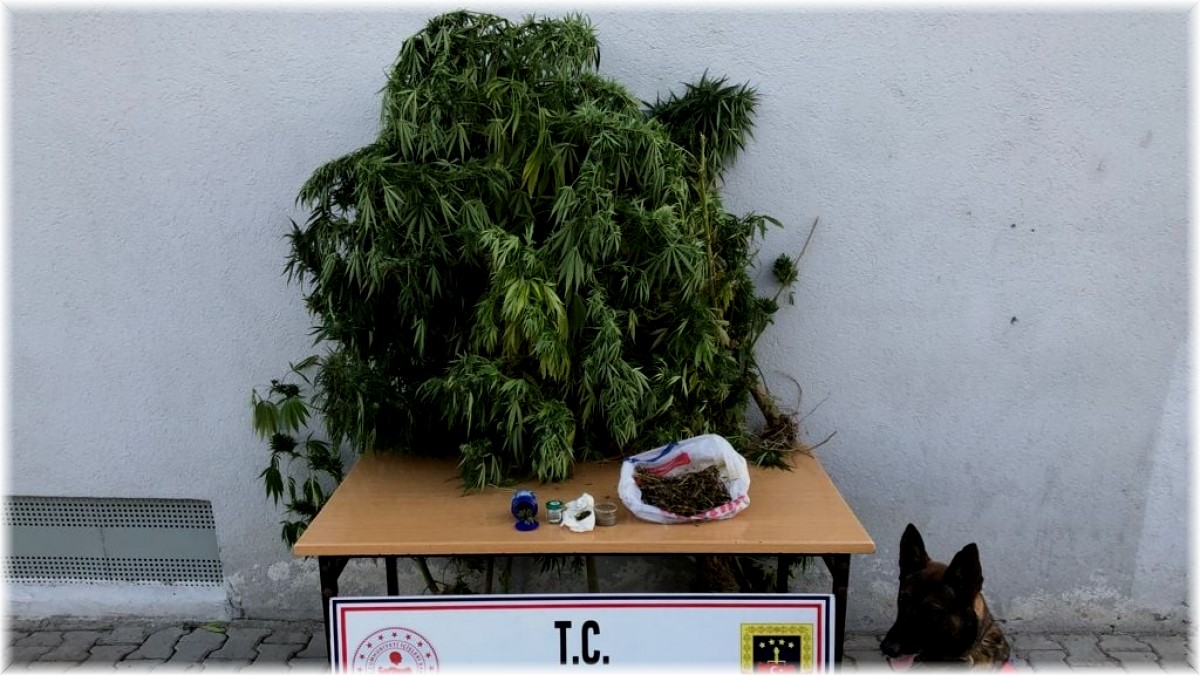 Erzincan'da bir miktar uyuşturucu ve kaçak sigara yapımında kullanılan malzemeler ele geçirildi