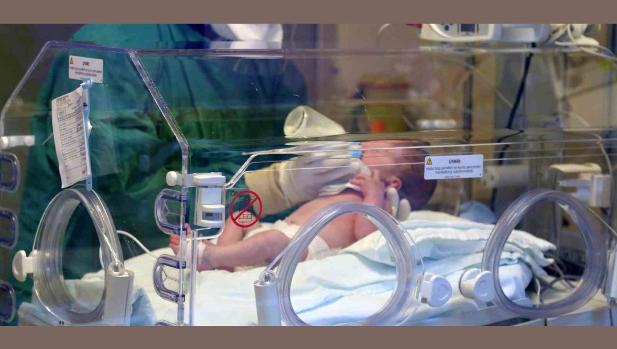 Erzincan'da canlı doğan bebek sayısı 2024 yılında 2 bin 368 oldu