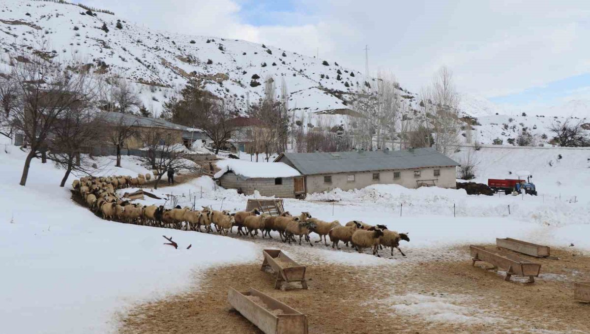 Erzincan'da çiftçilere kar ve tipi uyarısı