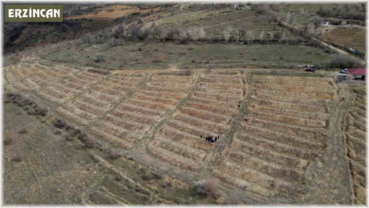 Erzincan'da çiftçilere tarla okulu eğitimi verildi
