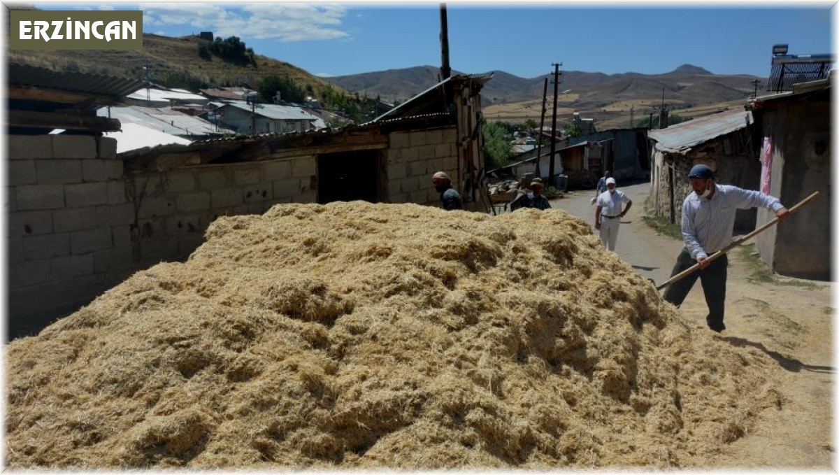 Erzincan'da çiftçinin kış hazırlığı sürüyor