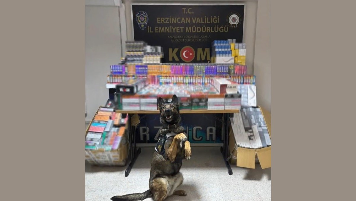 Erzincan'da dedektör köpeği hera, 11 bin 600 kaçak ürünü yakalattı