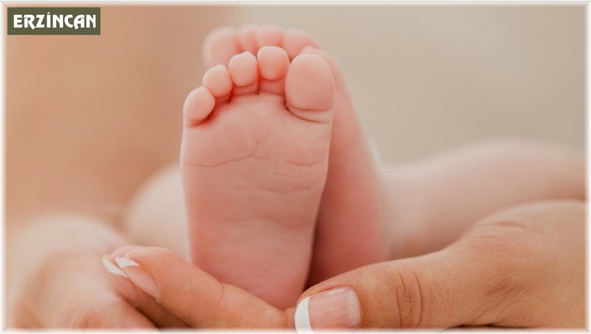 Erzincan'da doğurganlık hızı 1,39 oldu