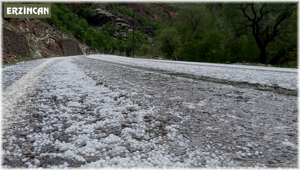 Erzincan'da dolu yağışı etkili oldu