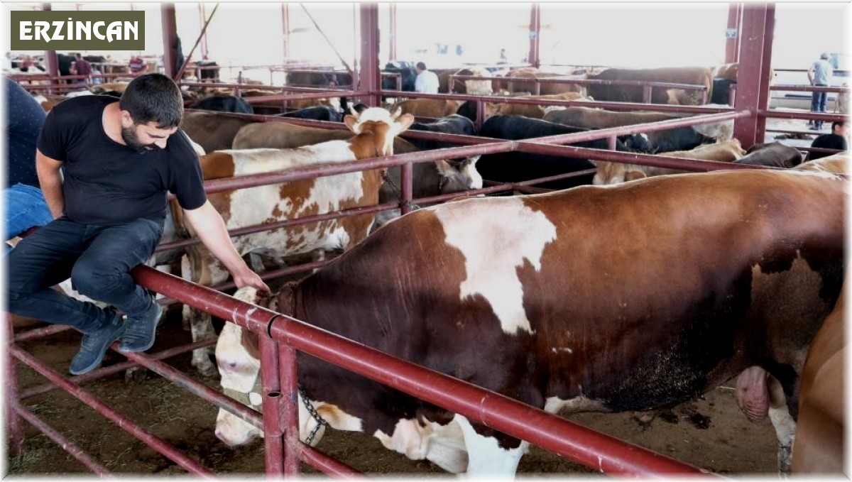 Erzincan'da et üreticilerine yem karma makinesi desteği