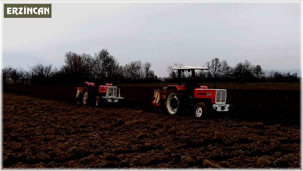 Erzincan'da etkili olan yağışlar çiftçiye umut oldu