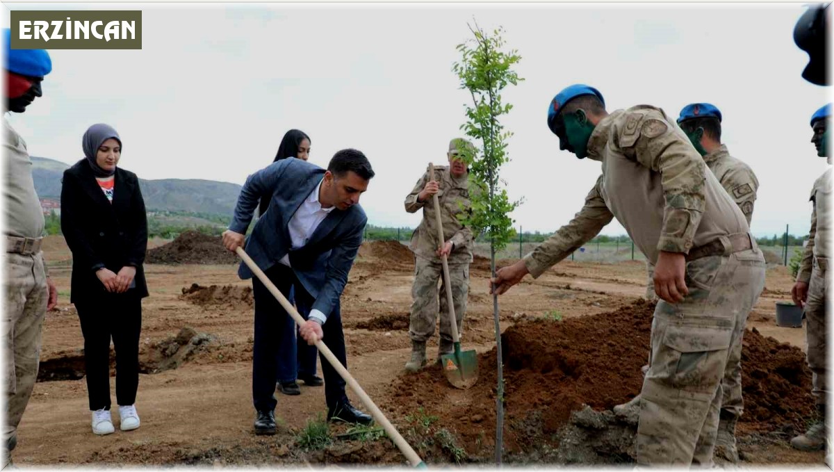Erzincan'da fidanlar toprakla buluştu